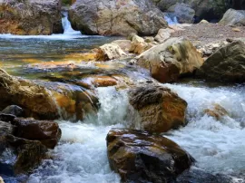 Por qué debería probar el perfume Eau de Courreges Original