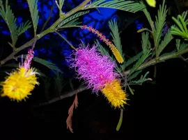 Por qué llevas siempre contigo el neceser Helly Hansen en todas tus aventuras