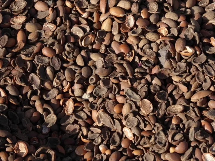 aceite de argan precio mercadona