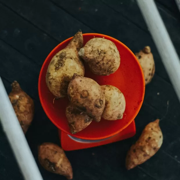 almidón de patata mercadona