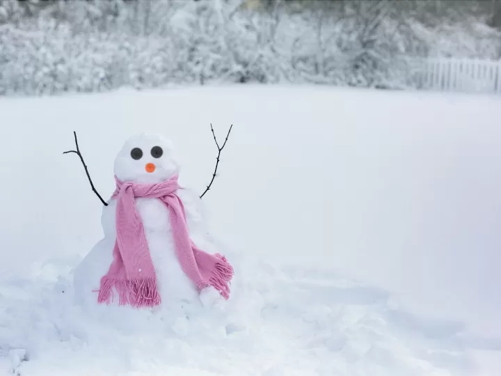 bata mujer invierno