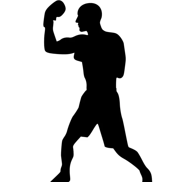 boxeur des rues camisetas