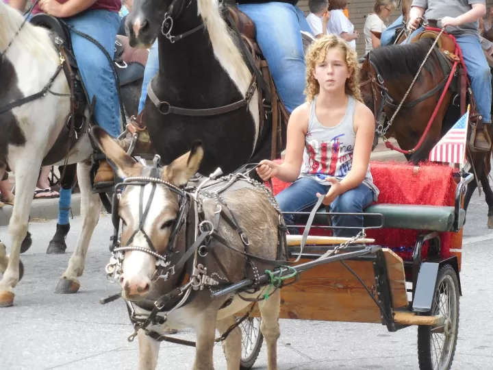 dia del caballo