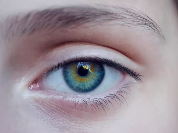 naobay contorno de ojos