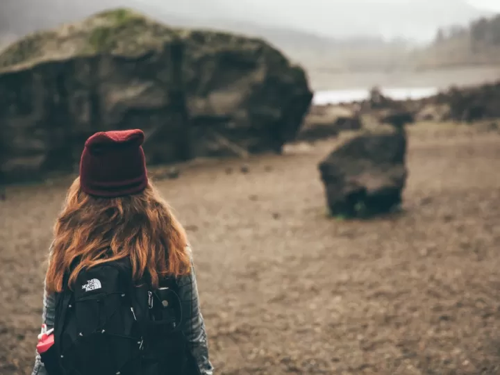 north face mochila borealis