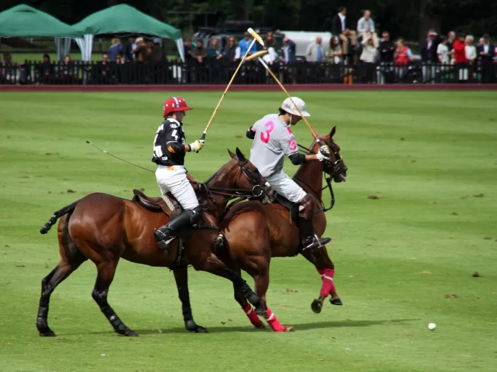 palo de polo