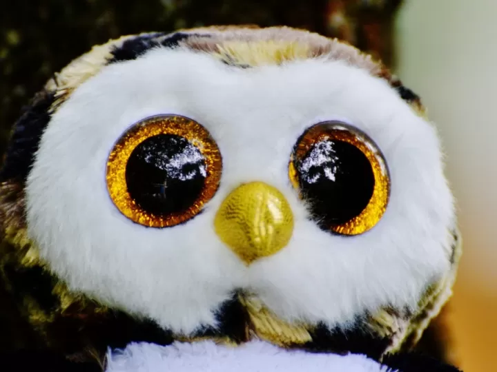 peluches de gato con botas