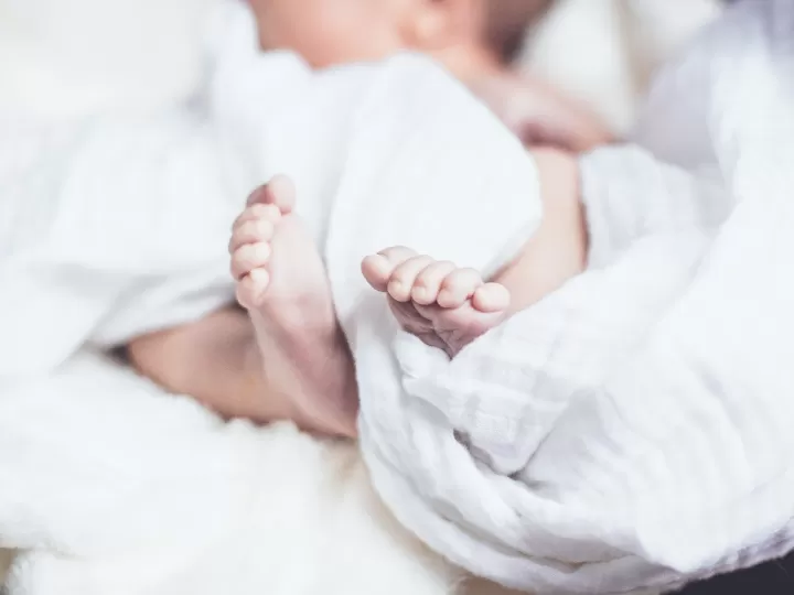 pies de bebes gorditos