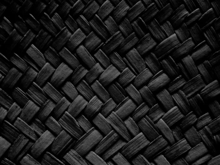 tech negro y gris