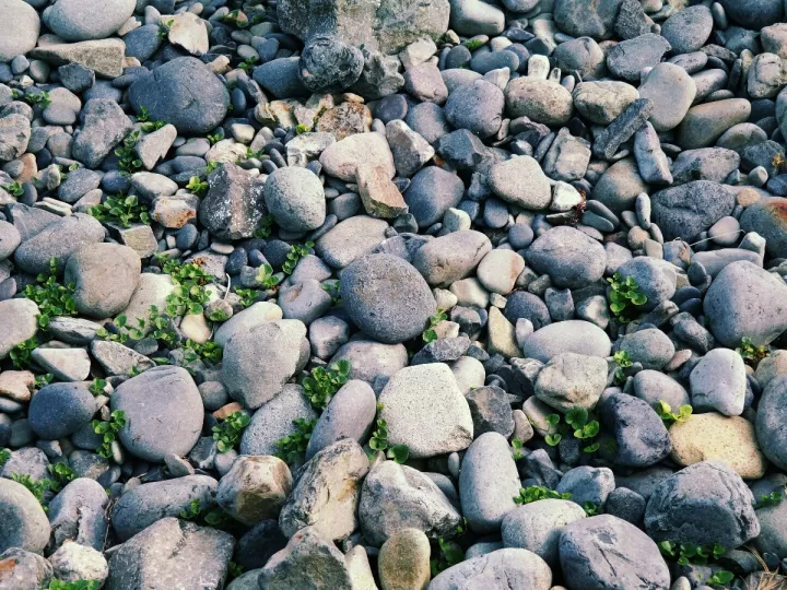 toallitas quitamanchas mercadona