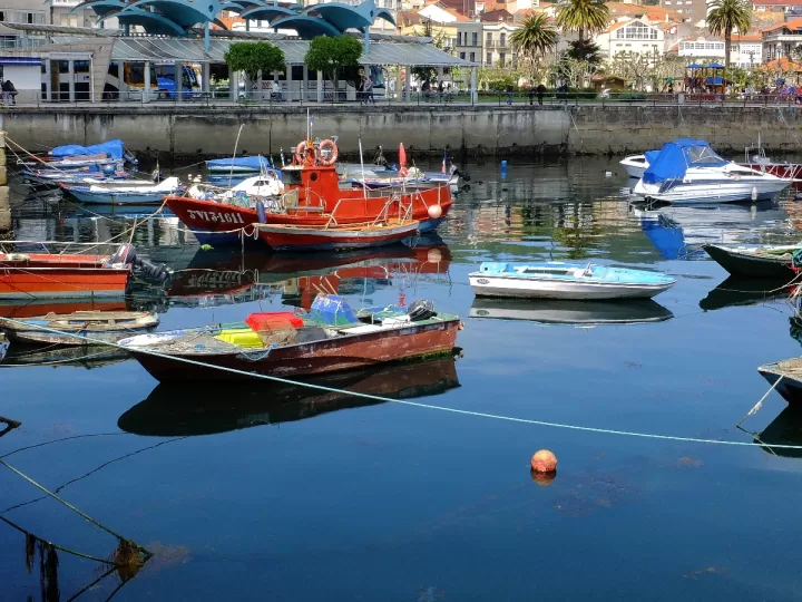 zuecos con muelle