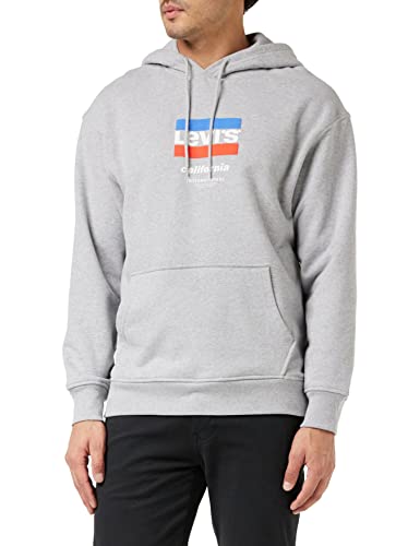 Levi's Relaxed Graphic Hoodie Hombre Center (Gris) S