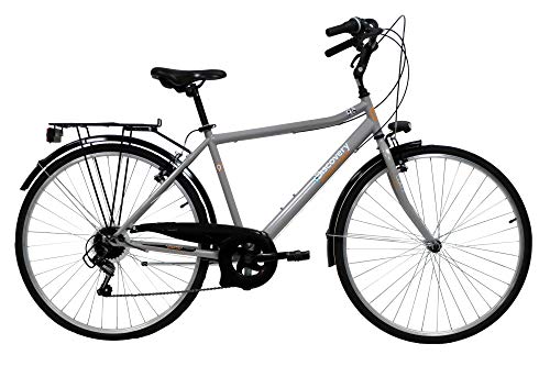 Discovery Denver 28 Trek - Bicicleta de Trekking Manhattan 28 Pulgadas, Cambio Shimano de 6 velocidades, Color metálico, Plateado metálico