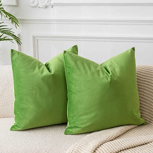 JUSPURBET Fundas de almohada decorativas de terciopelo para sofá cama, paquete de 2 fundas de cojín suaves de lujo, 24 x 24 pulgadas, verde manzana