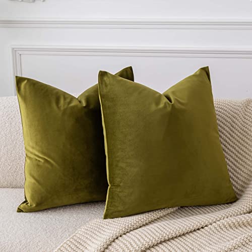JUSPURBET Juego de 2 fundas de almohada de terciopelo de 28 x 28 cm, decorativas de color verde oliva