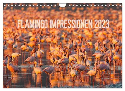 Flamingo Impressionen 2023 (Wandkalender 2023 DIN A4 quer), Calvendo Monatskalender